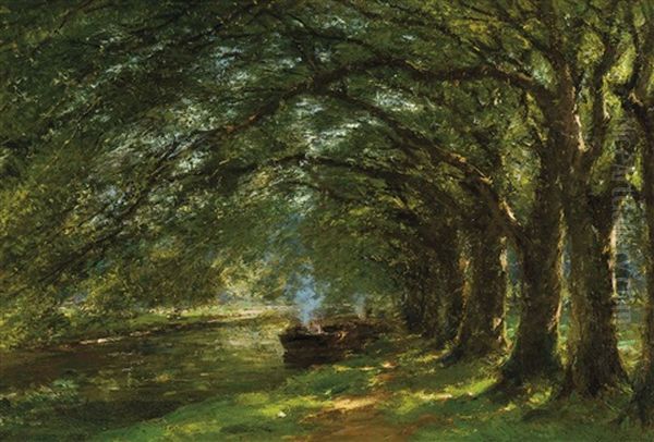Rayons De Soleil Au Parc A Elfswoud - view 1