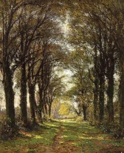 Derniers Beaux Jours D'automne