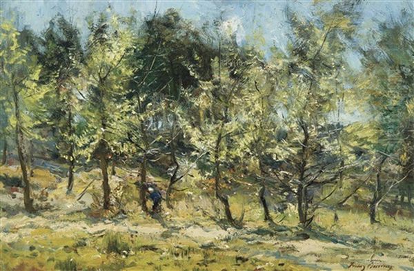 Matinee - Ramasseuse De Bois - view 1