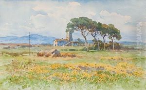 Veduta Di Casale Nella Campagna Romana by Filippo Anivitti