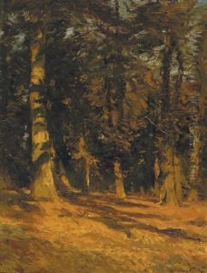 Debut D'automne - Derniers Rayons Debut D'automne - Derniers Rayons