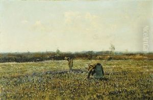 Champs De Fleurs - Matin