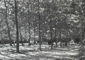 Strolling In The Elfswoud Parc On A Summer Day