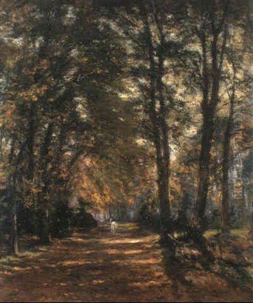 Dreef Te Laeken Met Ruiter - view 1