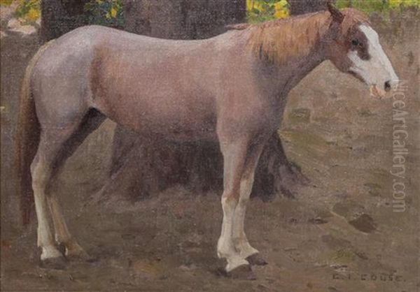 Klikitat Pony - view 1