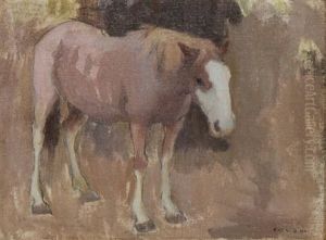 Study Of A Horse