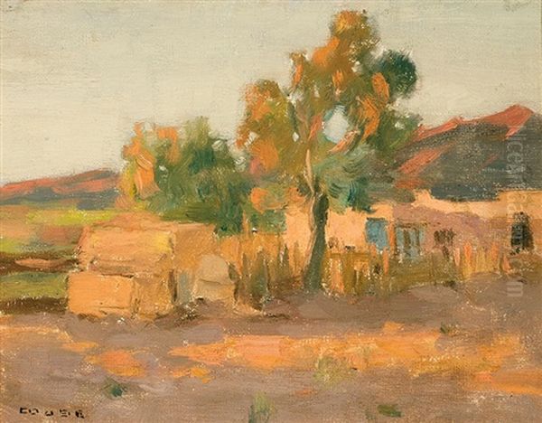 Adobe House - view 1
