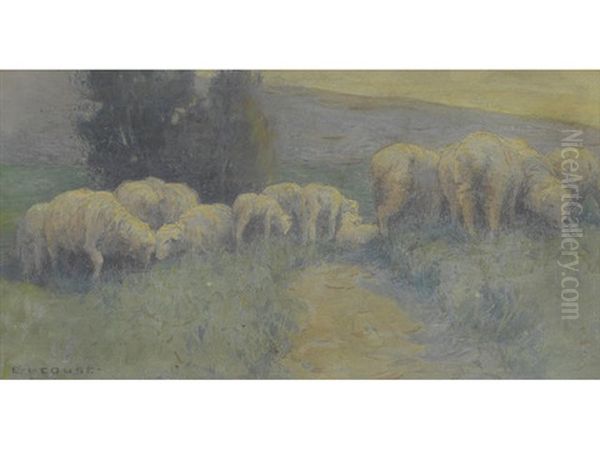 Sheep Grazing Along A Footpath - view 1