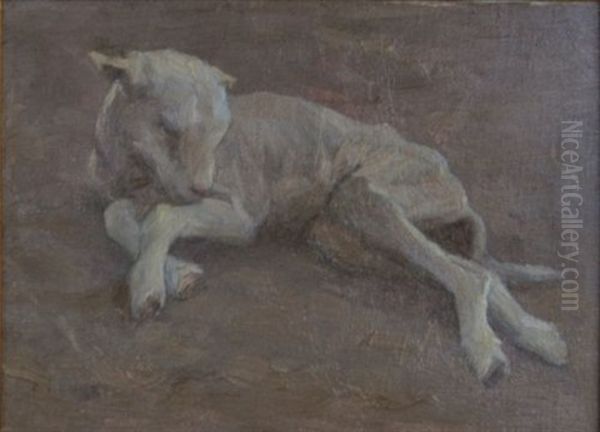 Lamb - view 1
