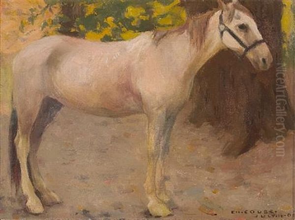 Study Of A Western Horse - view 1