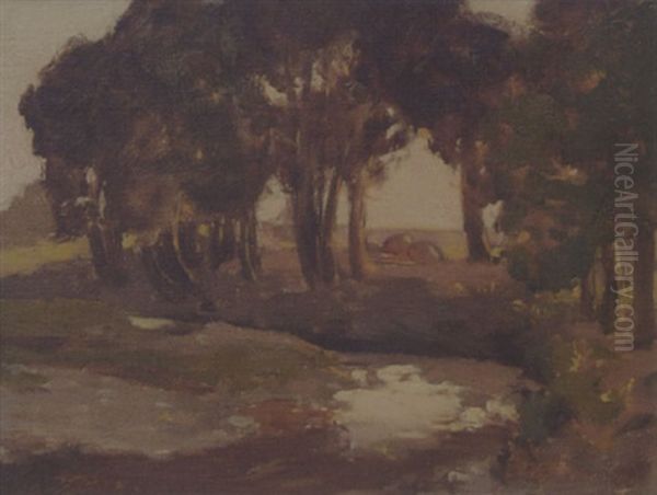 Taos Woods - view 1