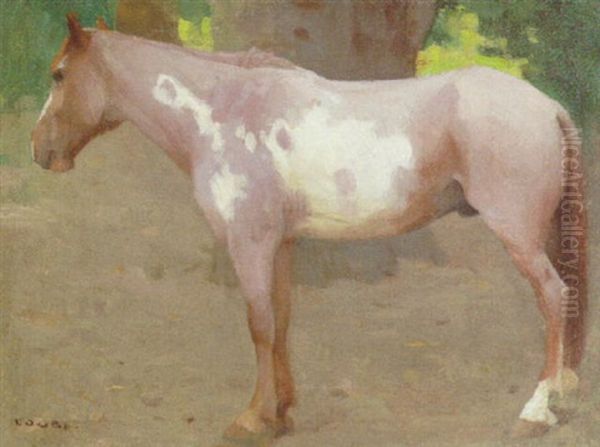 Pinto Pony - view 1