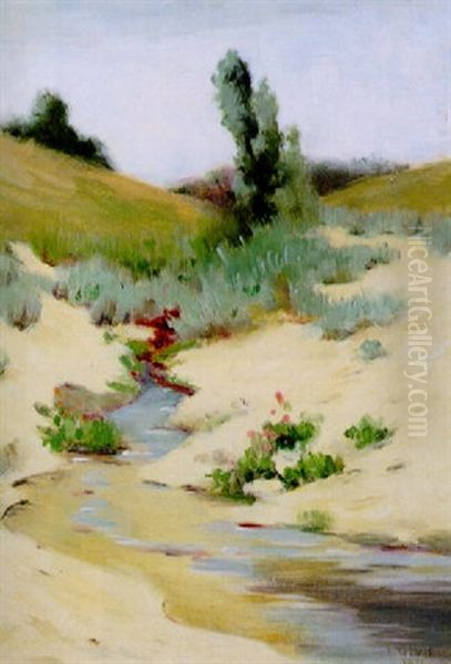 Spring Runoff - view 1