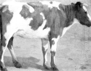 A Cow



A Cow