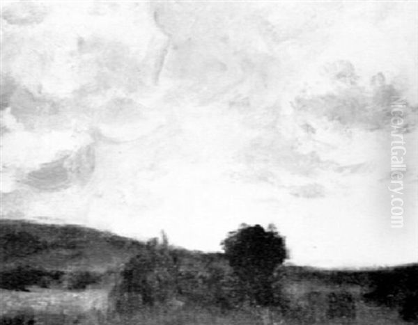 A Landscape - view 1