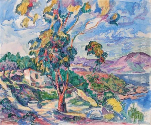 Paysage Mediterraneen - view 1