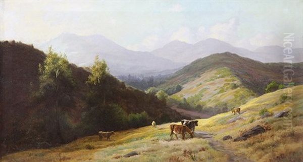 Cattle In The Marin Foothills - view 1