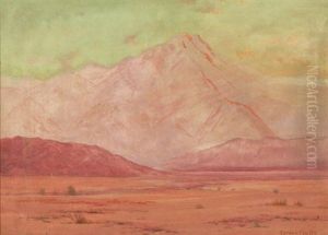 Pink Desert Landscape