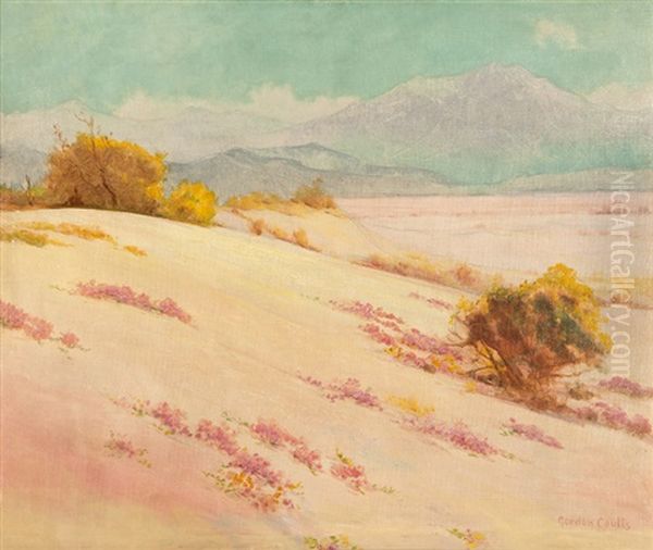Desert Wildflowers - view 1