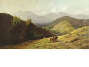 Cattle Grazing On Rolling Hills