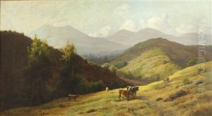 Cattle Grazing On Rolling Hills