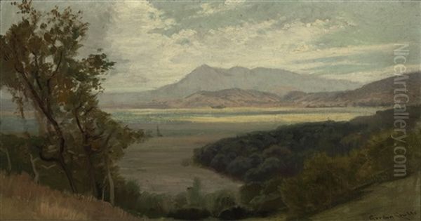Marshlands With Mountains In The Distance - view 1