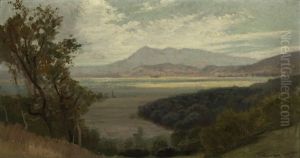 Marshlands With Mountains In The Distance