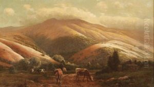 California Foothills With Cabin And Grazing Cattle