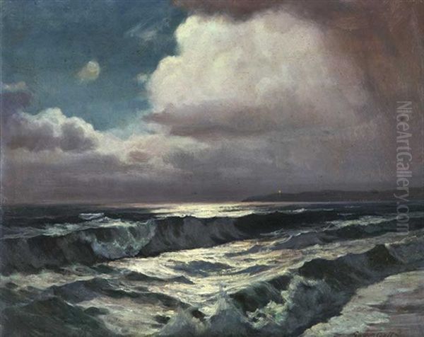 Moonlit Coastal - view 1