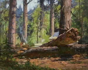 Camp At Tahoe by Gordon Coutts
