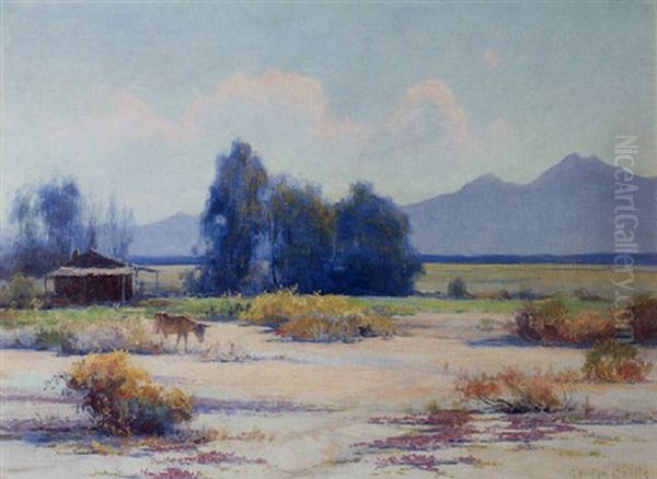 A Cabin And A Mule In A Blooming Desert Valley - view 1