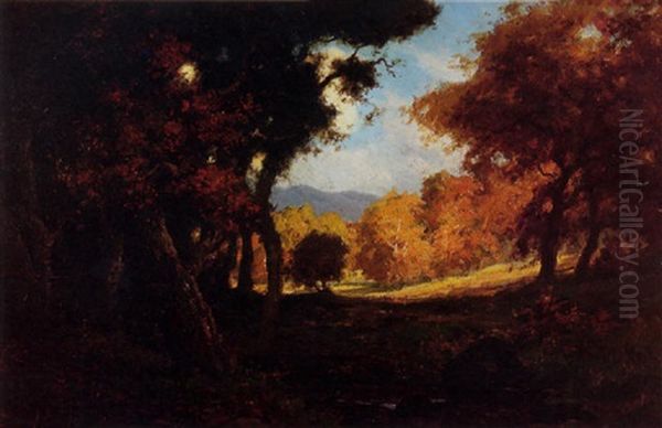 Sunlight And Shade - view 1