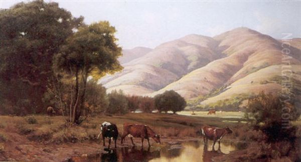 Evening Shadows Over San Geronimo - view 1