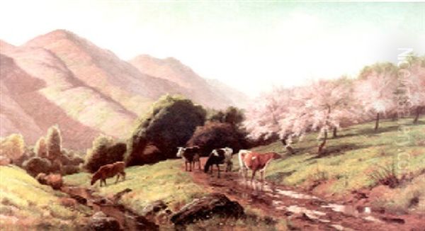 Spring La Qunitas - view 1