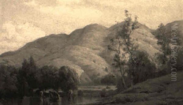 Marin County Hills - view 1