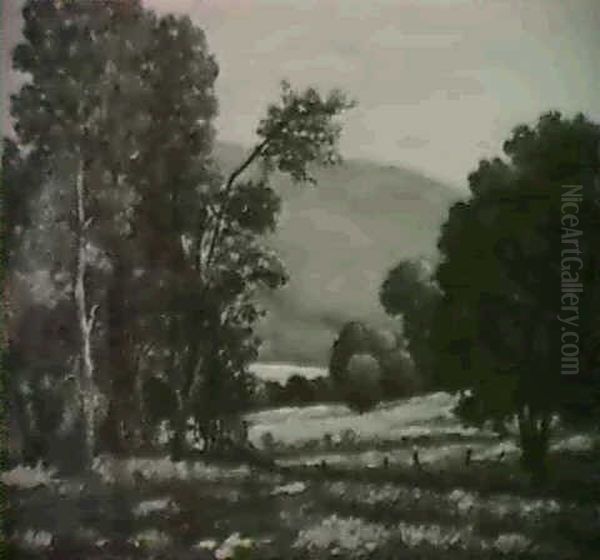 Marin County Landscape - view 1