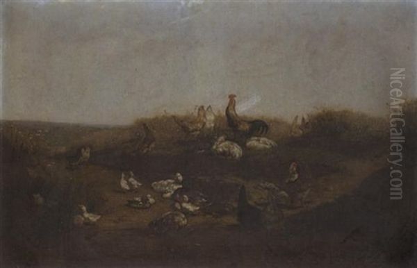 Huhner Und Enten Auf Dem Feld - view 1