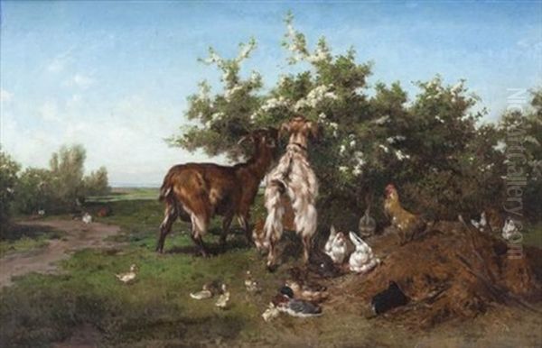 Cabra Y Gallinas - view 1