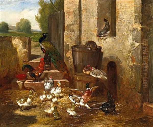 Huhner, Enten Und Ein Pfau Hinter Dem Stall - view 1