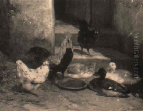 At The Feeding Dish - view 1