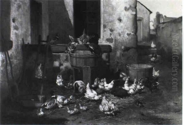 Chickens, Ducks And A Pheasant In A Farmyard - view 1