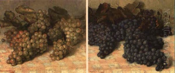 Uvas Blancas Y Uvas Negras - view 1