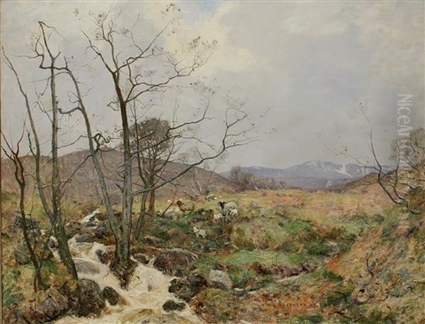 A Study Of Sheep Beside A Waterfall In An Extensive Landscape - view 1