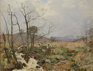A Study Of Sheep Beside A Waterfall In An Extensive Landscape by Robert Mcgown Coventry