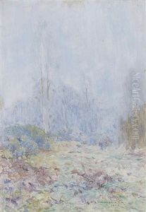 A Woodland Clearing