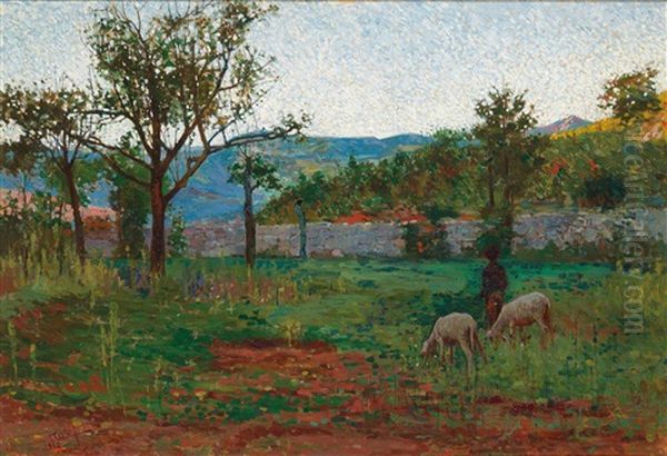 Schafer In Sudlicher Landschaft - view 1
