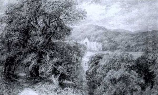 Bolton Abbey - view 1