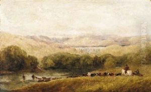 Watering The Herd, North Wales