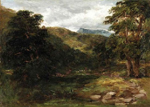 A Forest Clearing - view 1