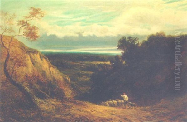 An Extensive Wooded Landscape With A Shepherd And Flock - view 1